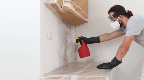 Professional Bathroom Mold Removal technician working in Buckley, MI