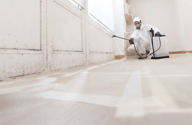 24/7 Emergency Bathroom Mold Removal experts in Buckley, MI